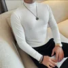 H201d126c39c74cbf90c18be51003f80dF.webp Men's High-Neck Knit Long-Sleeve T-Shirt