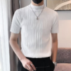 Hb7bfbc67d44f4b4f9c194667f96f2dbe2.png_960x960q80.png Men's Ribbed Mock-Neck Knit T-Shirt